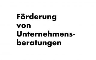 BAFA Förderung von Unternehmensberatungen für KMU