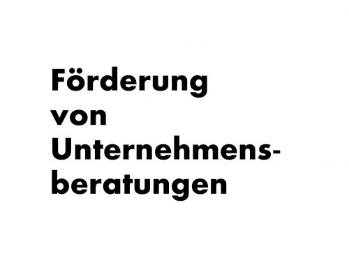 BAFA Förderung von Unternehmensberatungen für KMU