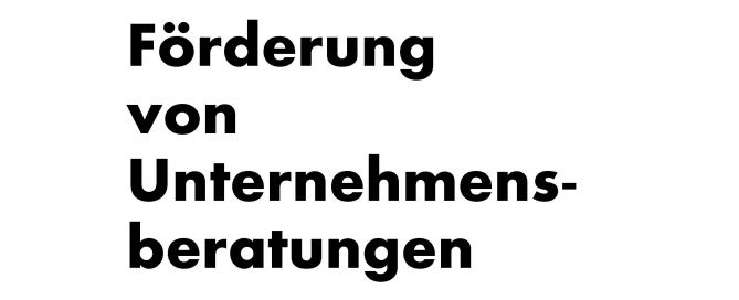 BAFA Förderung von Unternehmensberatungen für KMU